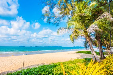 Güzel tropikal plaj ve deniz