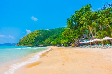 Güzel tropikal plaj ve deniz