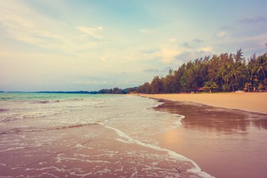 Güzel tropikal plaj ve deniz
