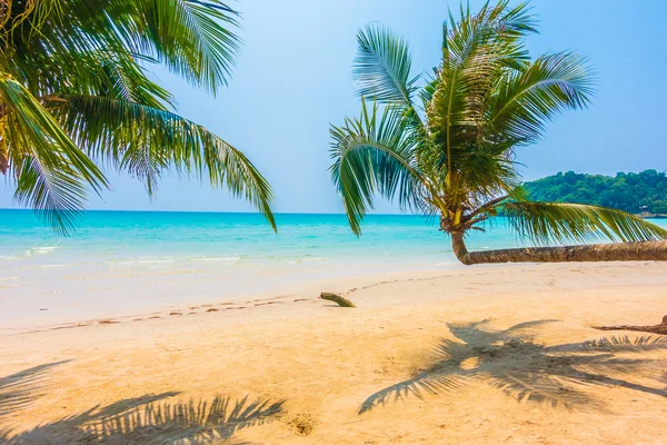 Prachtige tropische oceaan en zandstrand — Stockfoto