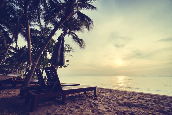 Belas coqueiros na praia — Fotografia de Stock