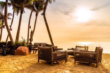 Sahilde güzel Hindistan cevizi palmiye ağaçları