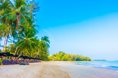 şemsiye ve güzel tropik sahil sandalye