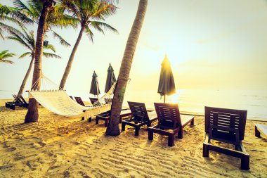 Sahilde güzel Hindistan cevizi palmiye ağaçları