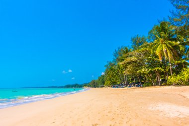 Güzel tropikal plaj ve deniz