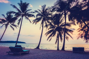 Hindistan cevizi hurma ağaçlarının Silhouettes