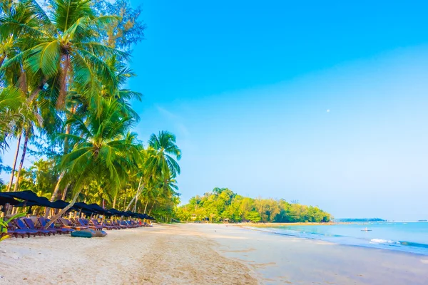 şemsiye ve güzel tropik sahil sandalye