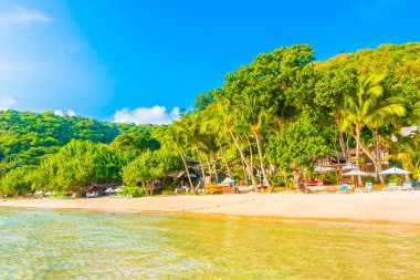 Güzel tropikal plaj ve deniz