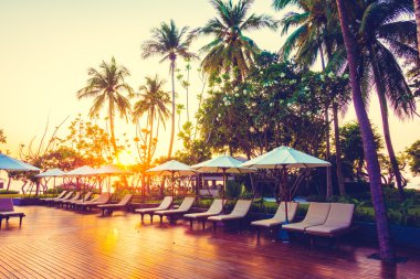 Hindistan cevizi hurma ağaçlarının Silhouettes