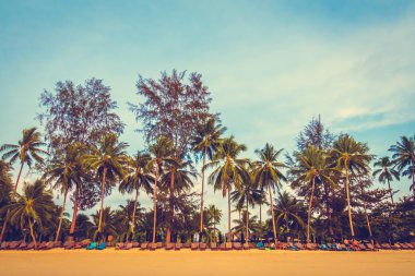 Güzel tropikal plaj ve deniz