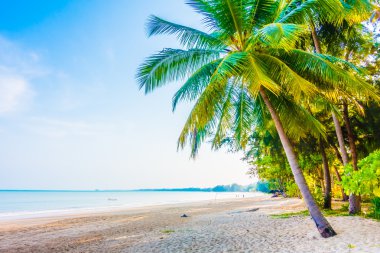 şemsiye ve güzel tropik sahil sandalye