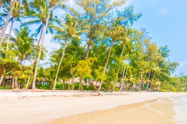 Güzel tropikal deniz ve kum plaj