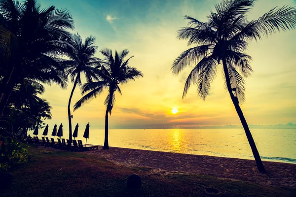 Schöne Kokospalmen am Strand — Stockfoto