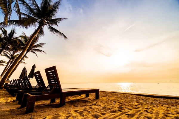 Hermosas palmeras de coco en la playa — Foto de Stock