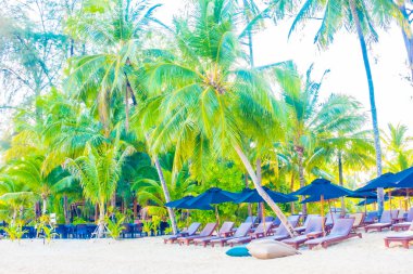 şemsiye ve güzel tropik sahil sandalye