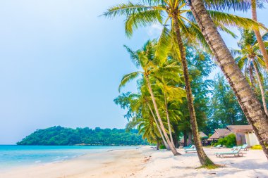 Güzel tropikal deniz ve kum plaj