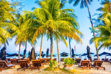 şemsiye ve güzel tropik sahil sandalye