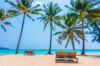 Güzel tropikal deniz ve kum plaj