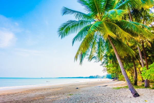 Ombrelloni e sedie sulla bellissima spiaggia tropicale — Foto Stock