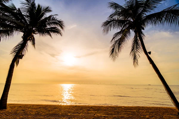 Schöne Kokospalmen am Strand — Stockfoto