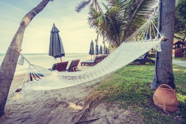 Tropik sahilde boş hamak