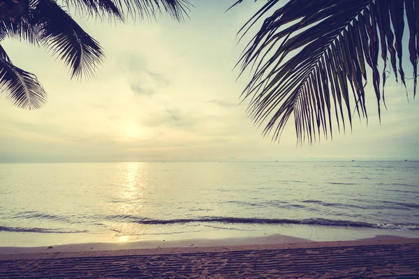 Nádherné kokosové palmy na pláži — Stock fotografie