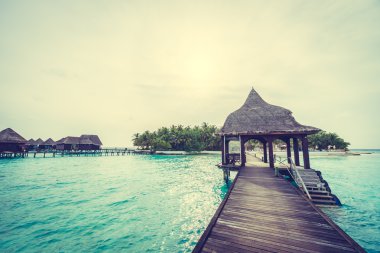 Güzel tropikal Maldivler ada
