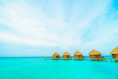 Güzel tropikal Maldivler ada