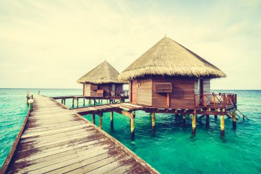 Güzel tropikal Maldivler ada