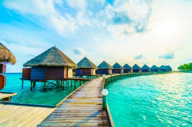 Güzel tropikal Maldivler ada