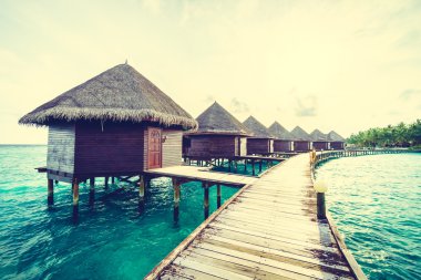 Güzel tropikal Maldivler ada