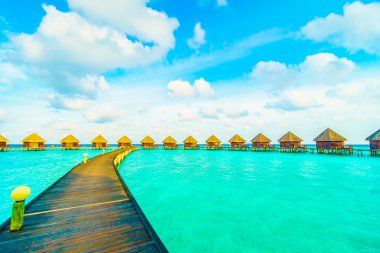 Güzel tropikal Maldivler ada