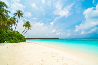 Güzel tropikal Maldivler ada