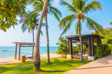 Güzel bir plaj ve deniz ile palmiye ağacı