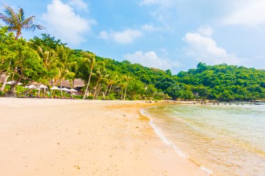 Güzel tropikal plaj ve deniz