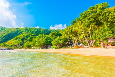 Güzel tropikal plaj ve deniz