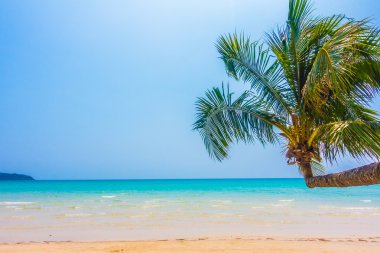 güzel tropik okyanus