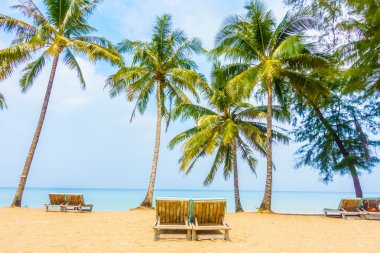 güzel tropik okyanus