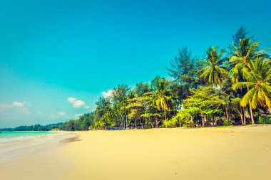 Güzel tropikal plaj ve deniz