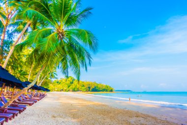 Şemsiye ve tropikal plaj sandalye