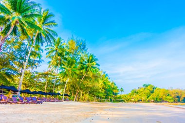 Şemsiye ve tropikal plaj sandalye