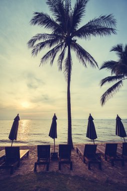 Hindistan cevizi palmiye ağaçlarının plaj ve deniz