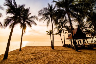 Hindistan cevizi palmiye ağaçlarının plaj ve deniz
