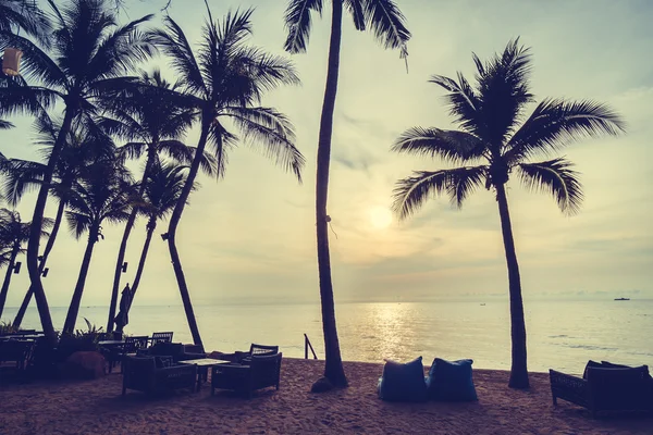 Kokosnøttpalmer på strand og hav – stockfoto