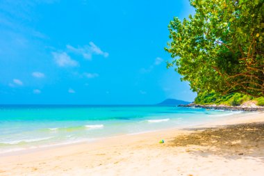Güzel tropikal plaj ve deniz