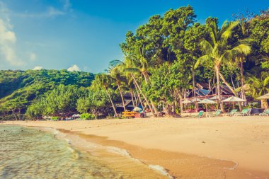 Güzel deniz ve sahil