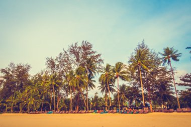 Güzel tropikal plaj ve deniz