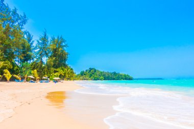 Güzel tropikal deniz ve plaj