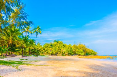 Şemsiye ve tropikal plaj sandalye