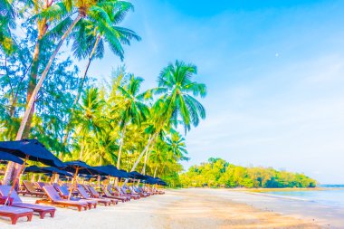 Şemsiye ve tropikal plaj sandalye